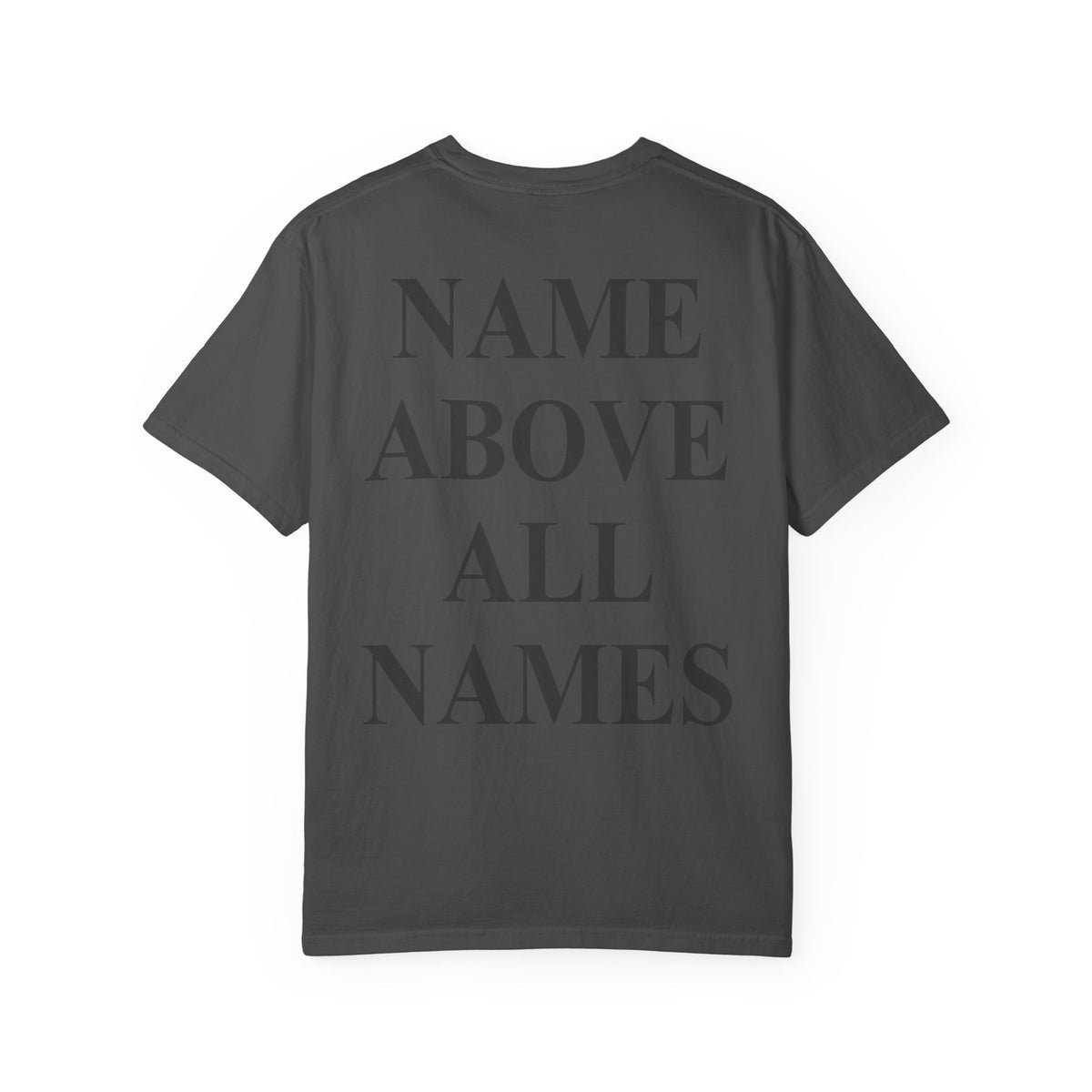 Christian T-Shirt — "Salt and the Light" Front Logo & "Name Above All Names" Back