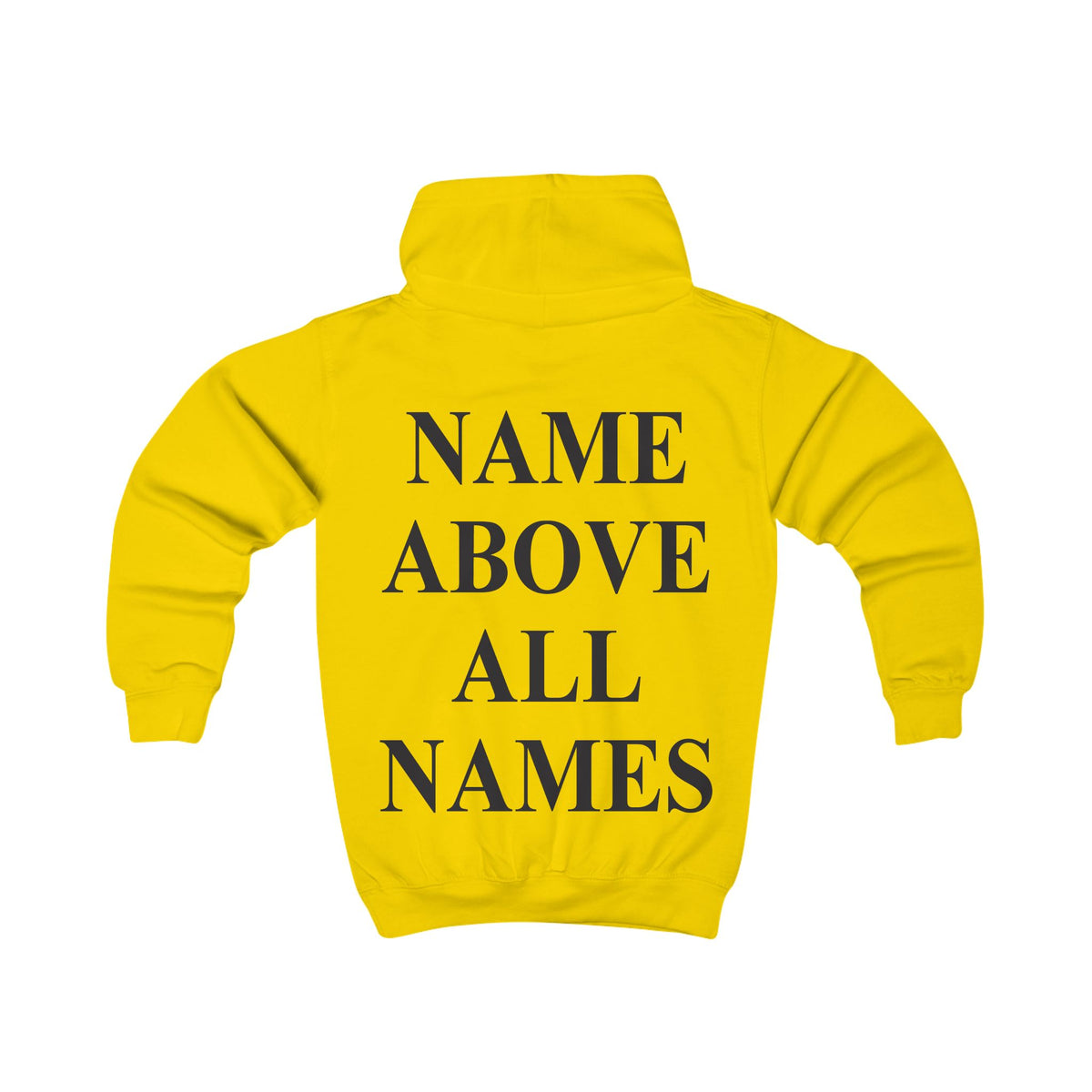 SALT AND THE LIGHT CHRISTIAN HOODIE