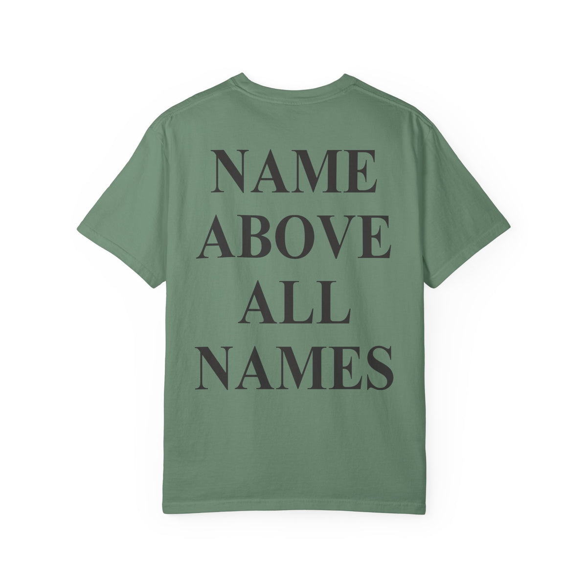 Christian T-Shirt — "Salt and the Light" Front Logo & "Name Above All Names" Back
