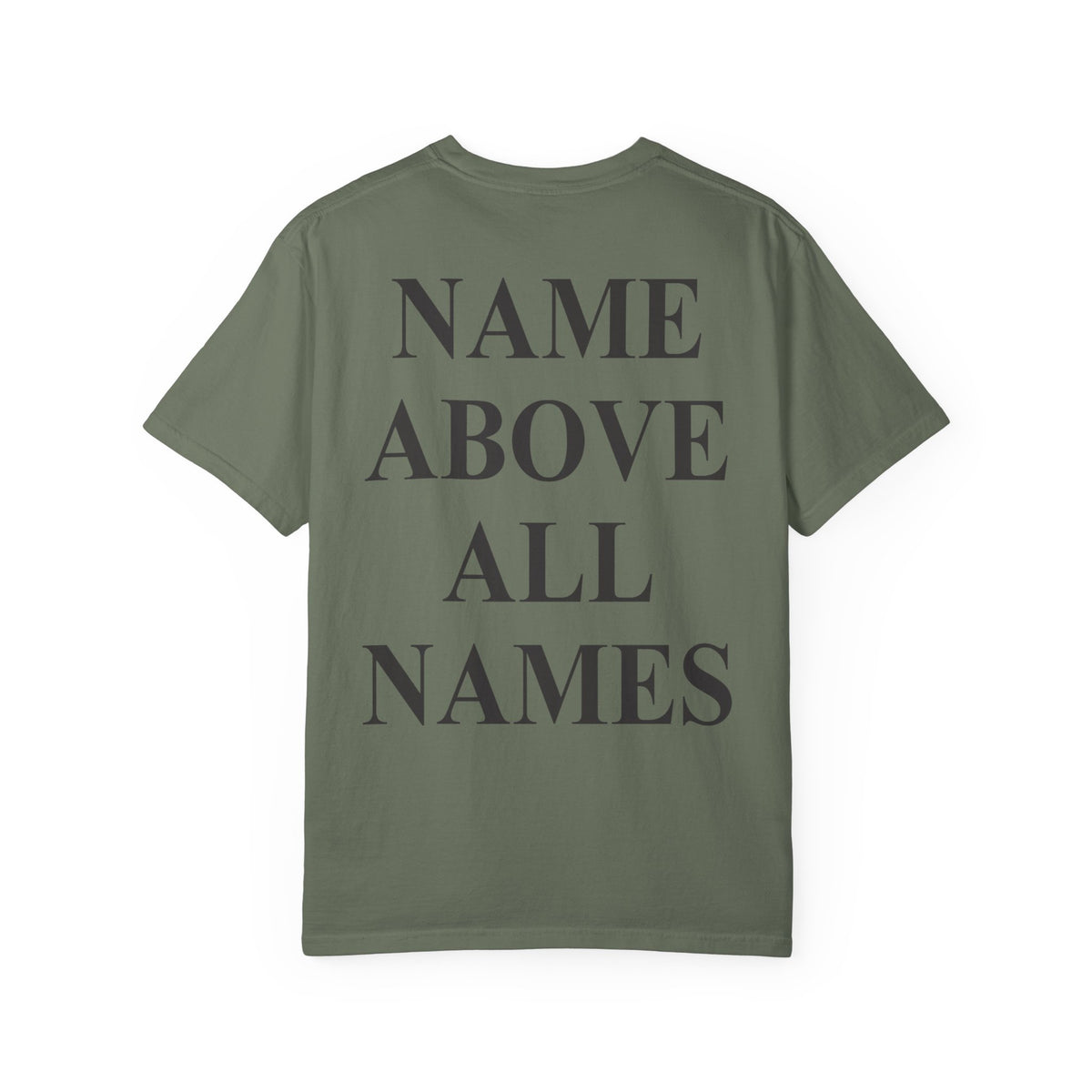Christian T-Shirt — "Salt and the Light" Front Logo & "Name Above All Names" Back